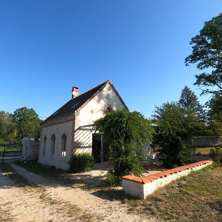 Вилла Chateau Des Nouies Сель-сюр-Шер Экстерьер фото